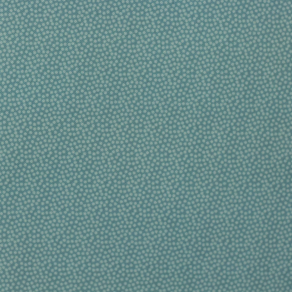 Fiete Nano Softshell mint kleine Punkte