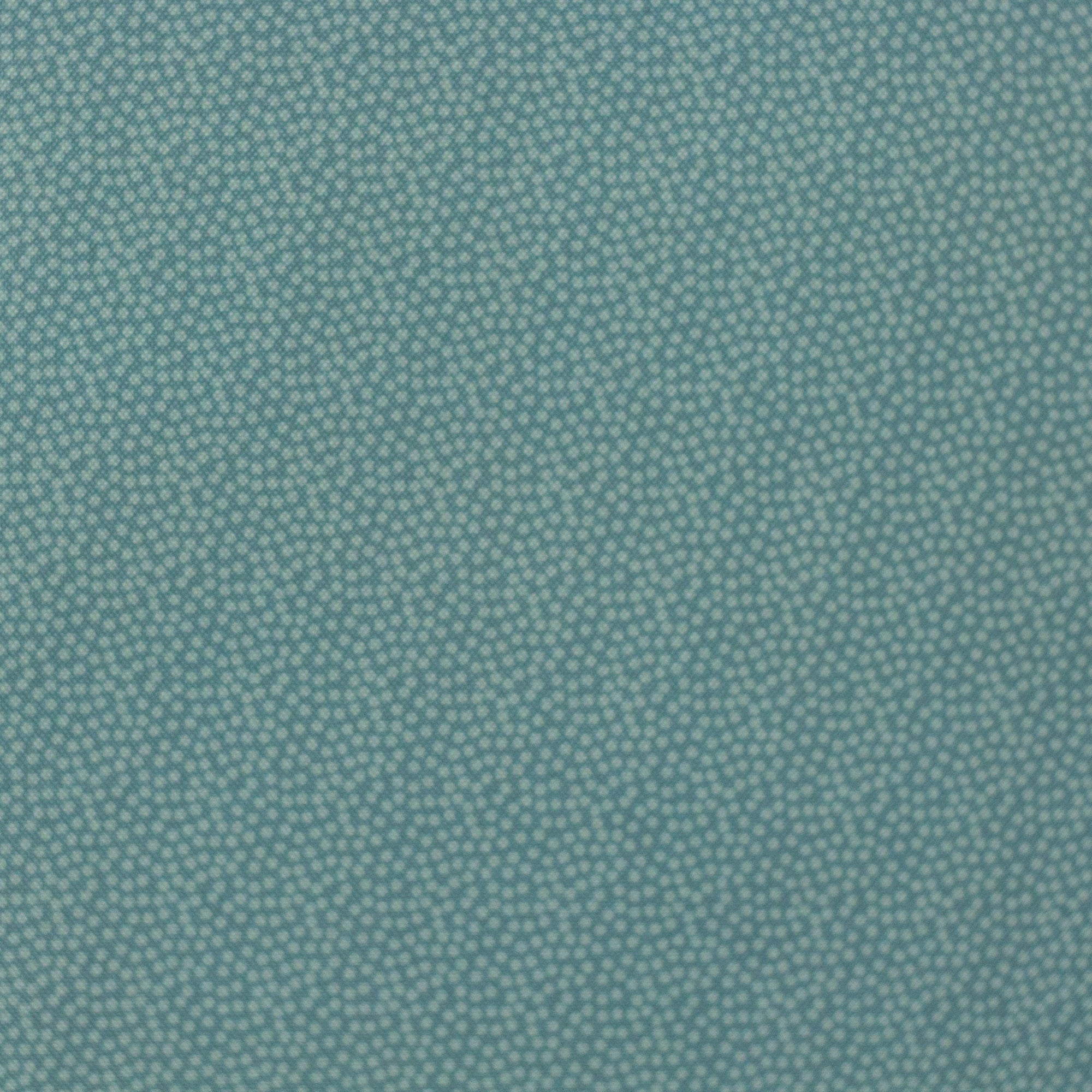 Fiete Nano Softshell mint kleine Punkte