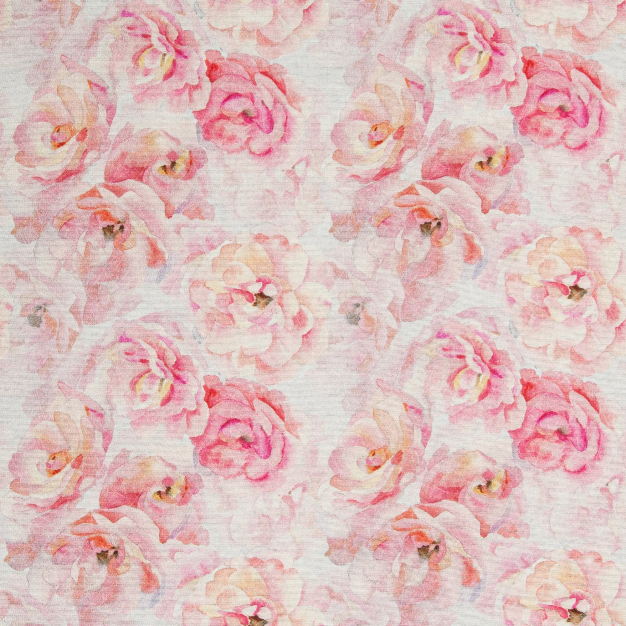 1,6m Rest Isla rosa Blumen