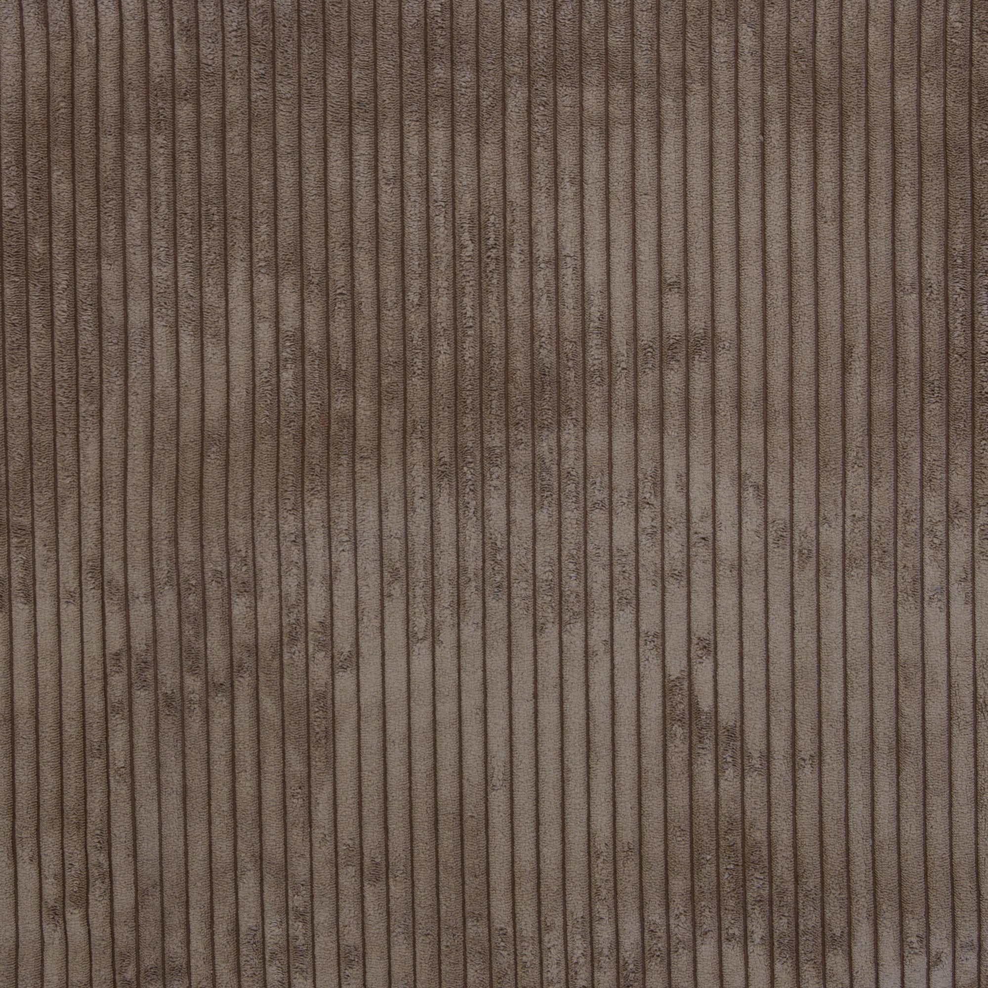 Samtcord Wanja uni beige