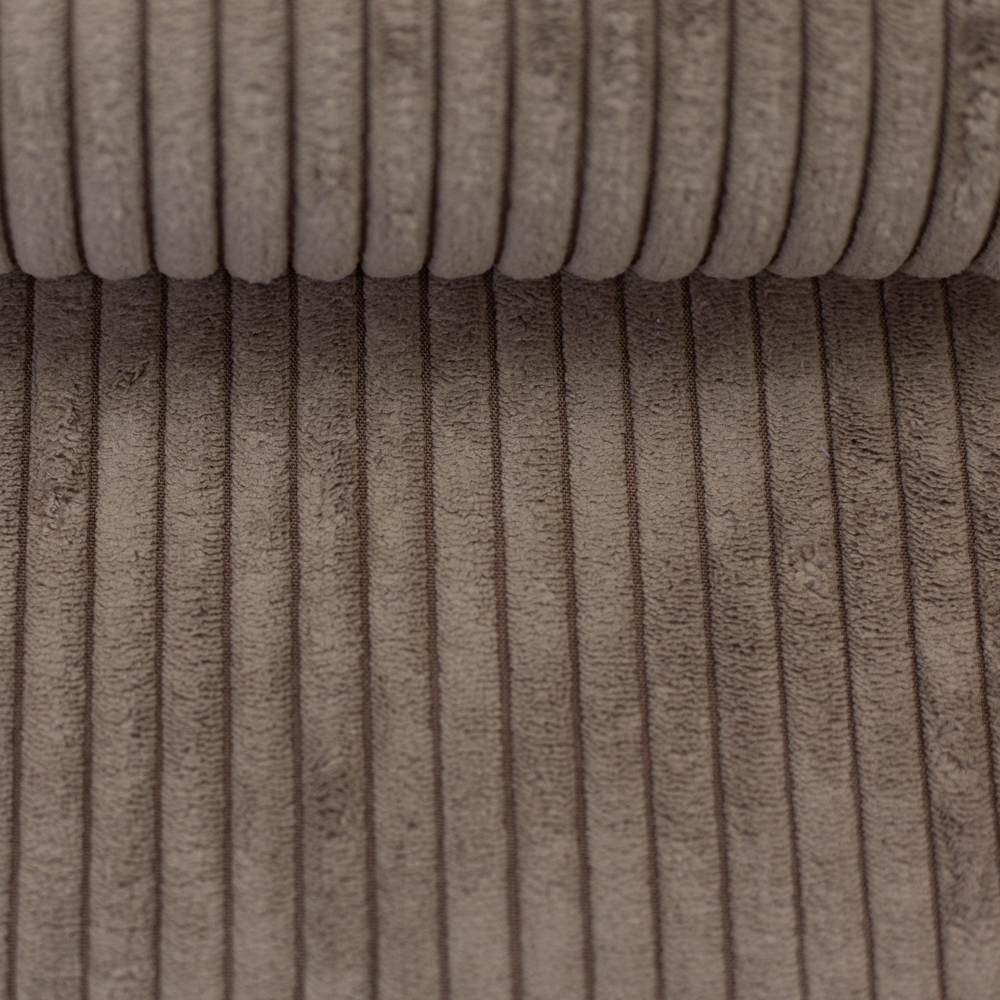 Samtcord Wanja uni beige