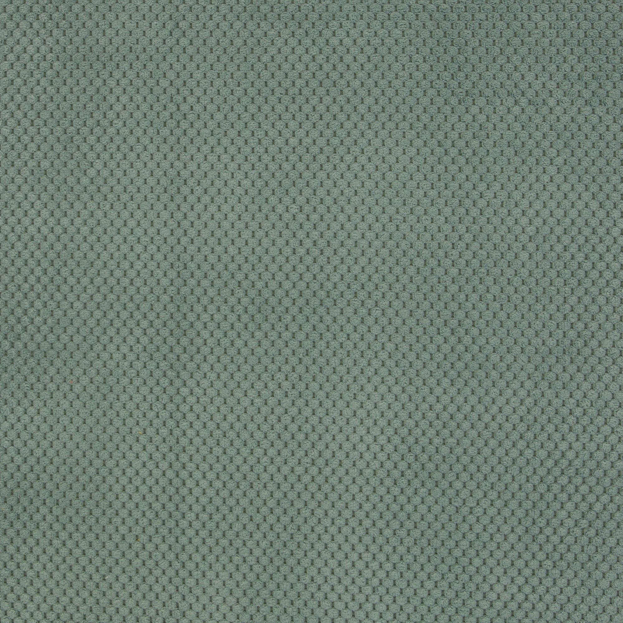 Dekosamt Parma altmint