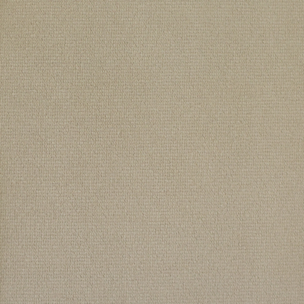 Dekosamt Savannah camel