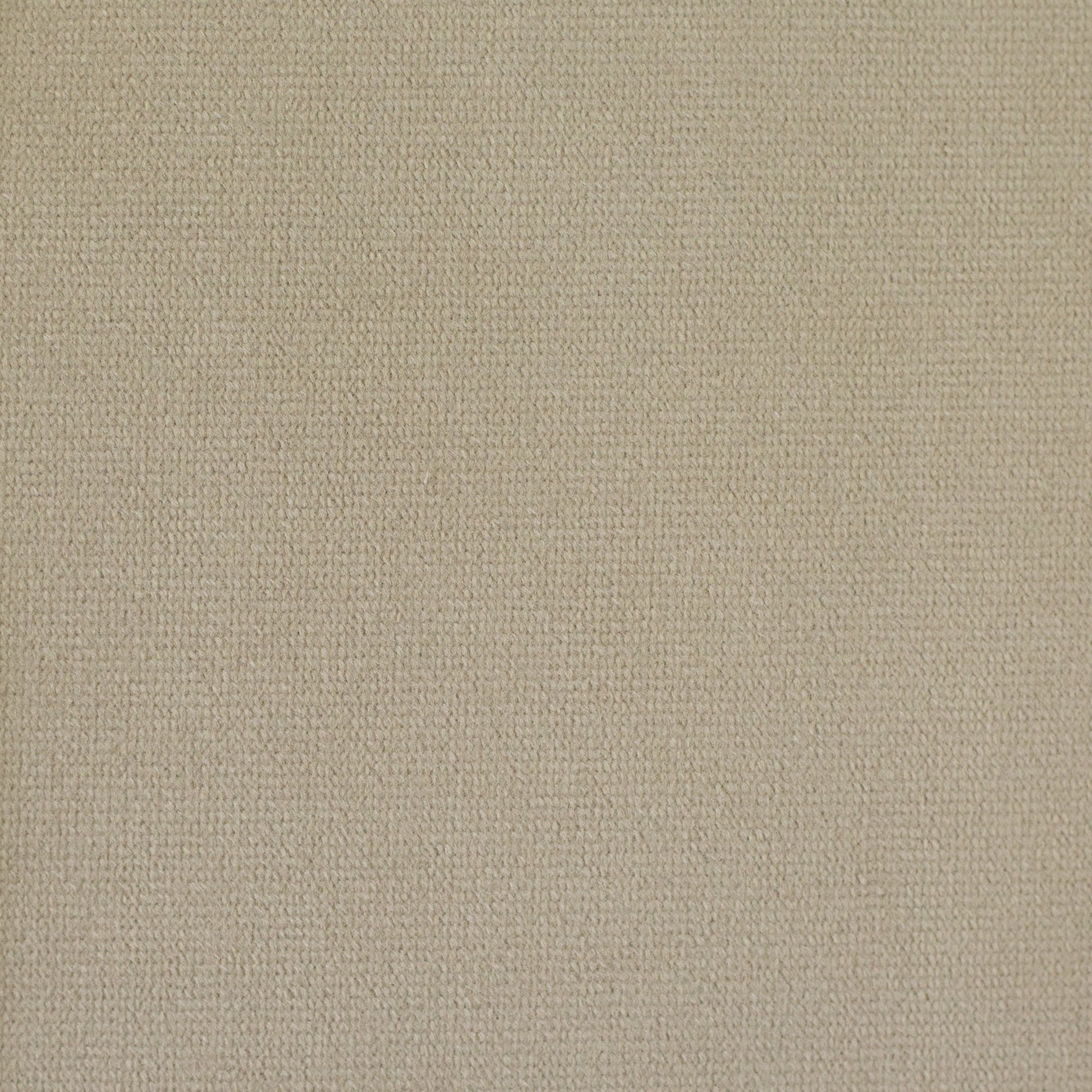 Dekosamt Savannah camel