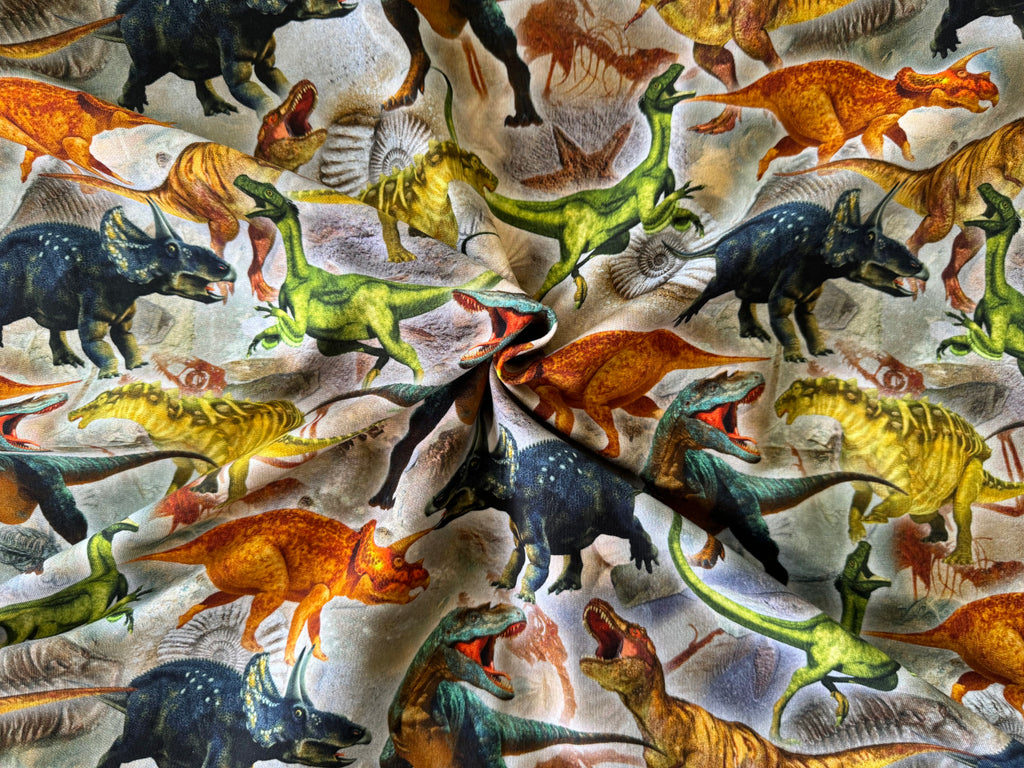 French Terry Janno Dinosaurier